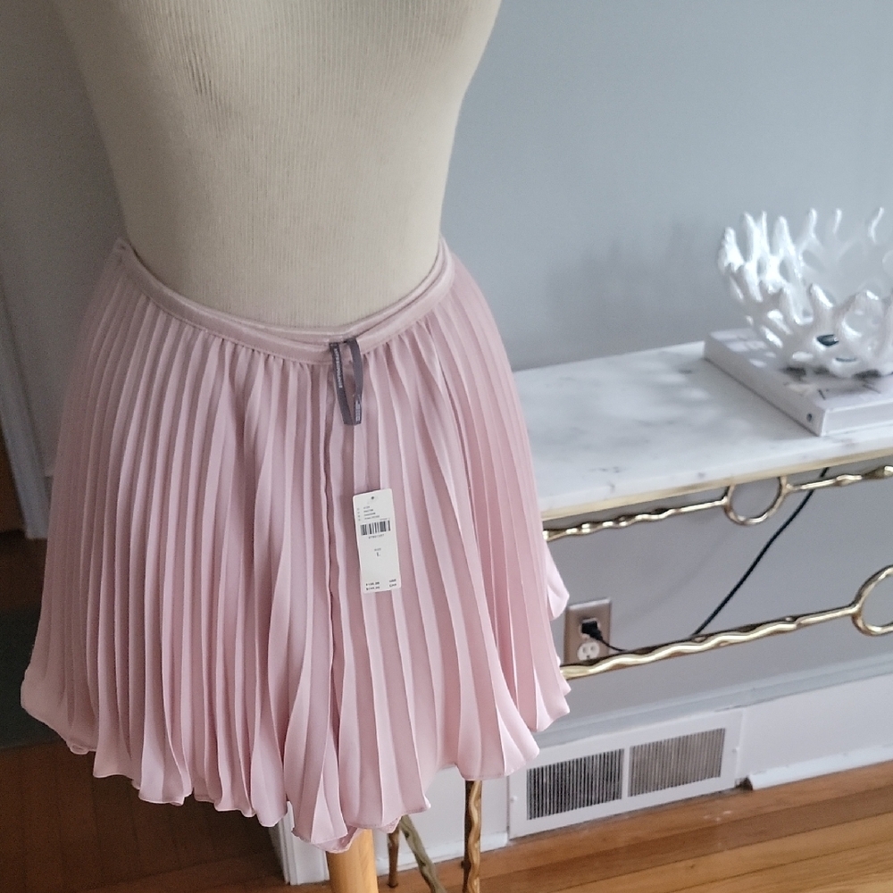 Anthropologie Dusty Rose Pleated Midi Skirt - Picture 4 of 4